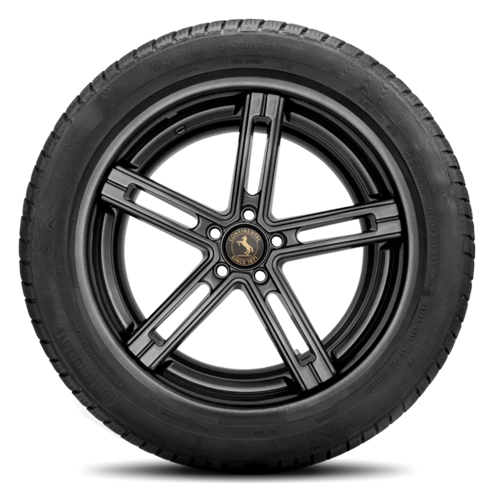 Continental Contiwintercontact TS 830 P Tires 195/55R16 03531940000