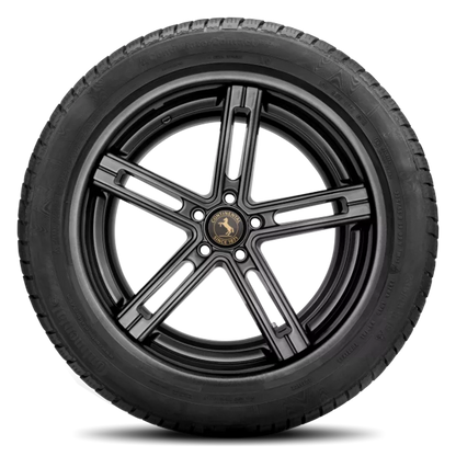 Continental Contiwintercontact TS 830 P Tires 295/30R20XL 03537610000
