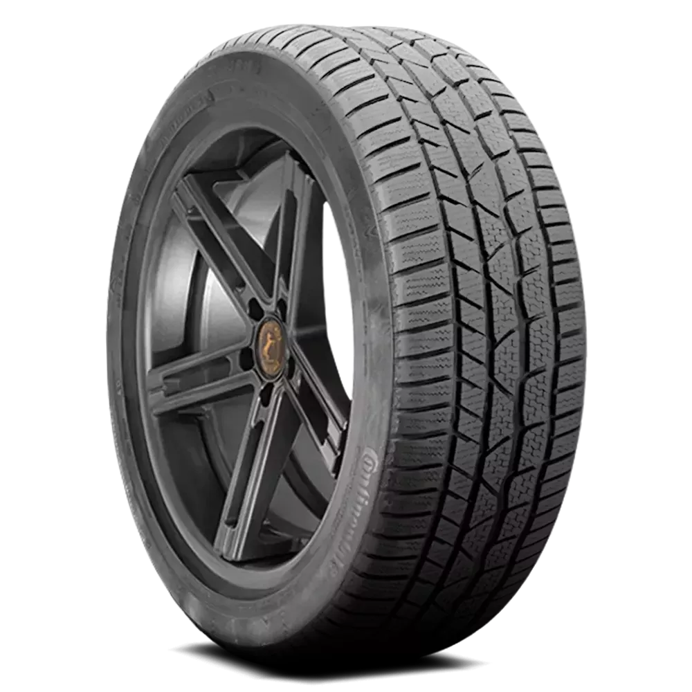Continental Contiwintercontact TS 830 P Tires 195/55R16 03531940000
